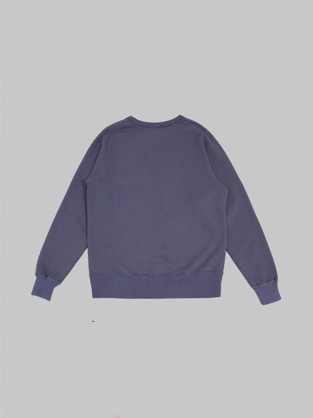Buzz Rickson's BR69463 Freedom Sleeve Sweatshirt Navy