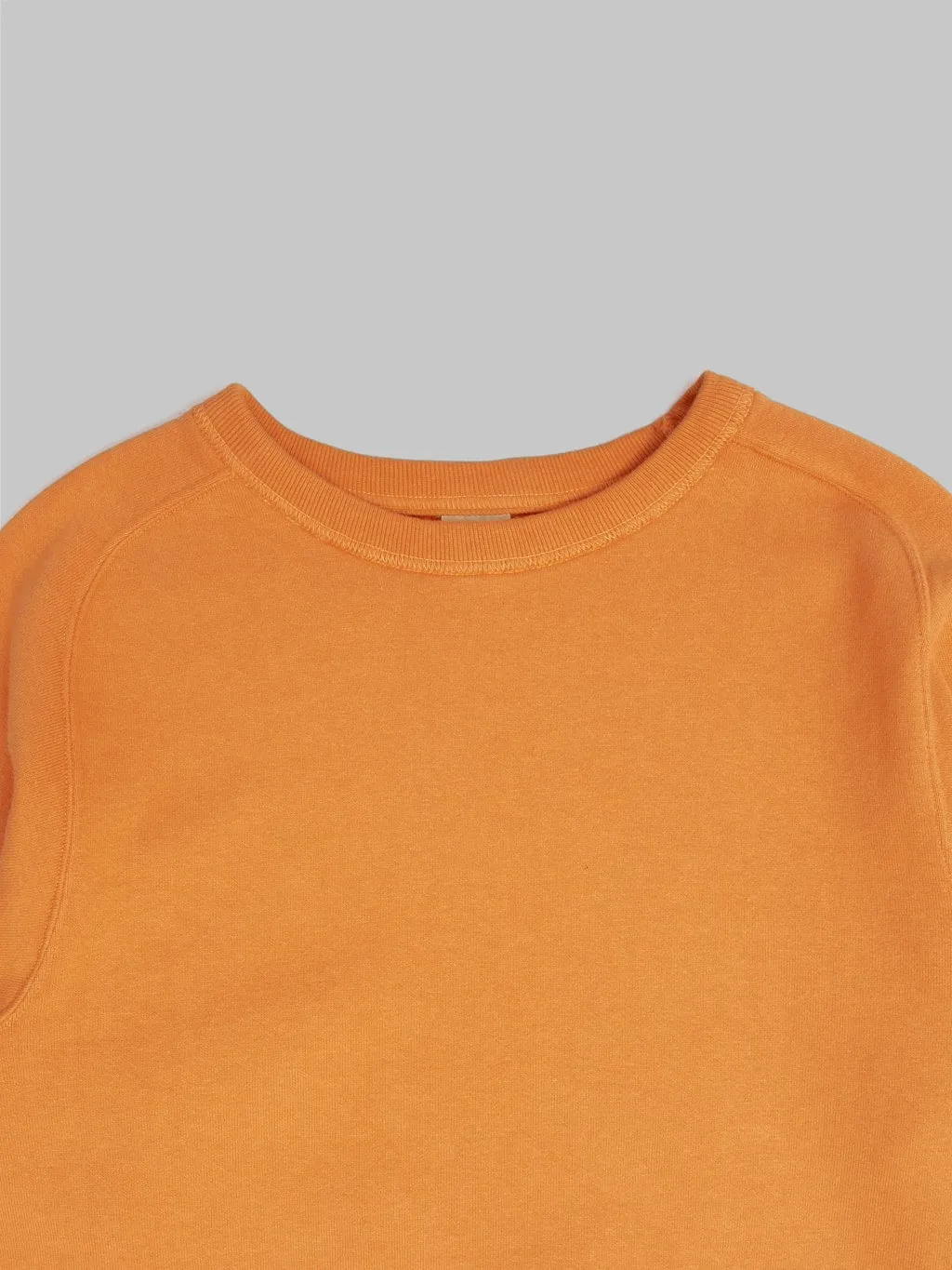 Buzz Rickson's BR69463 Freedom Sleeve Sweatshirt Orange